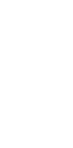 Yves Saint Laurent